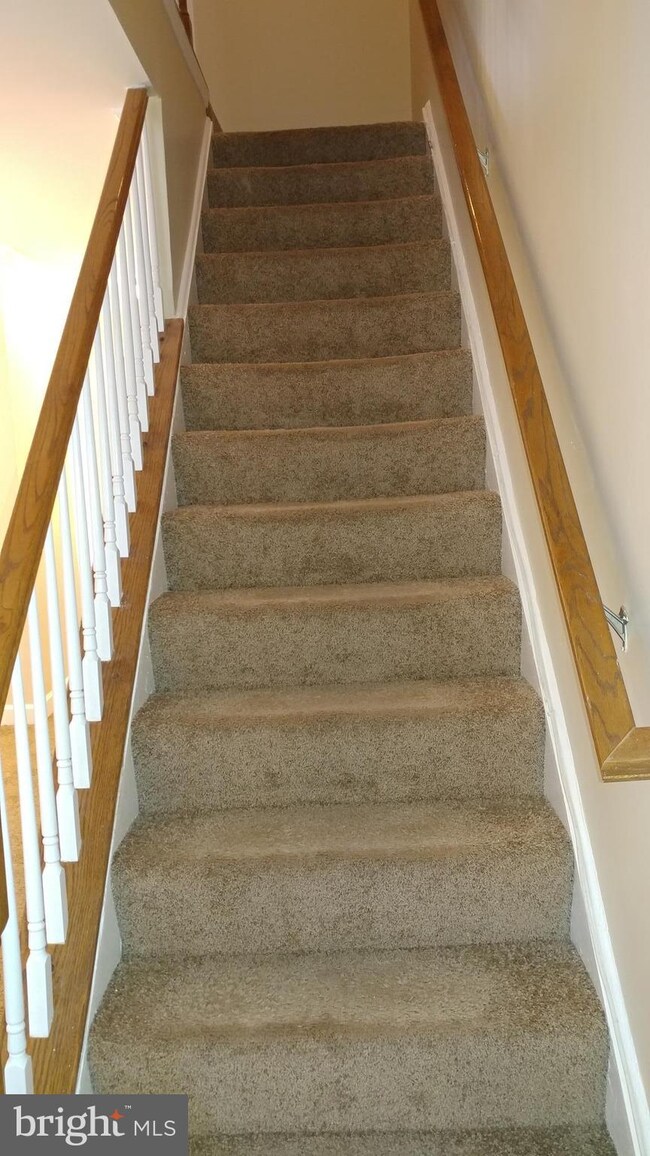 3807 Chesterwood Dr unit 1, Silver Spring, MD 20906 - photo 4