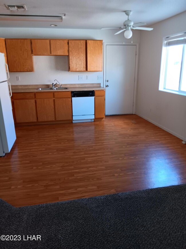 20230903_111528140 opossum 102