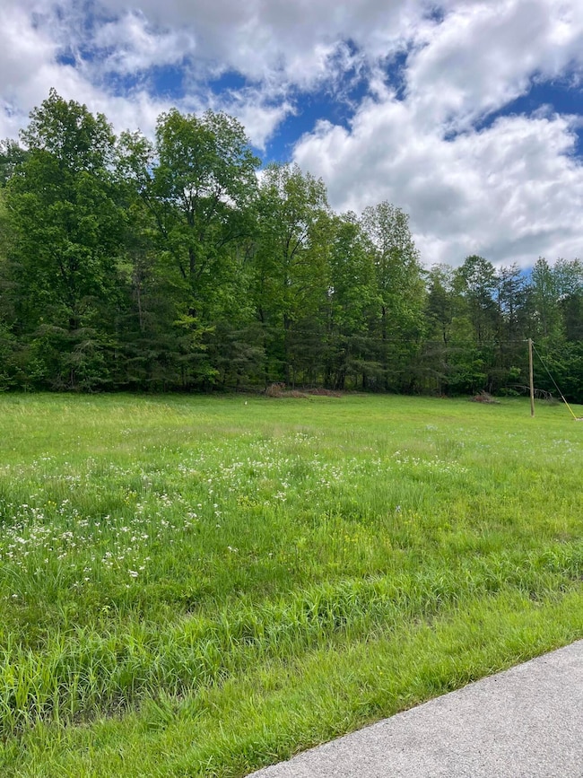 TBD Carrington Green Rd, Sudith, KY 40371 - photo 4