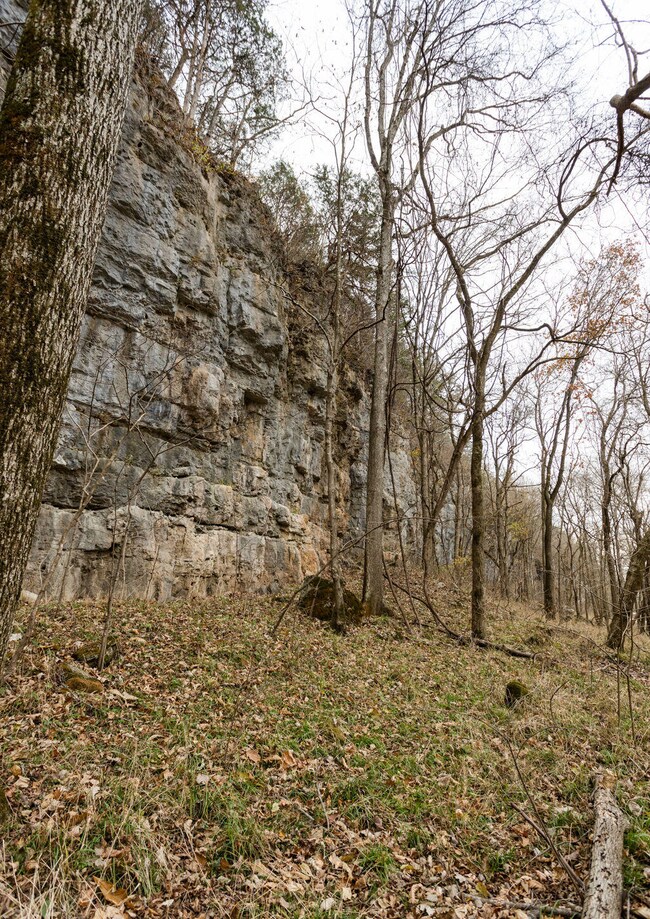 Pulaski55(FULLRES)-5