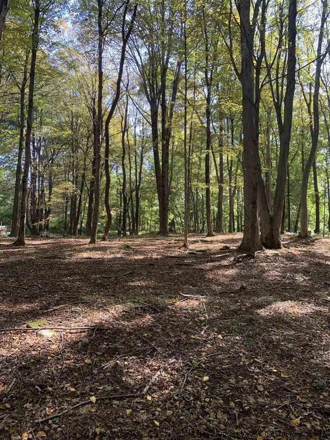 516 Swartekill Rd, New Paltz, NY 12561 - photo 7