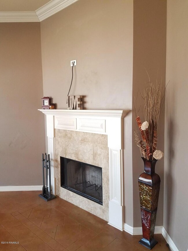 Peak Run 206 Fireplace