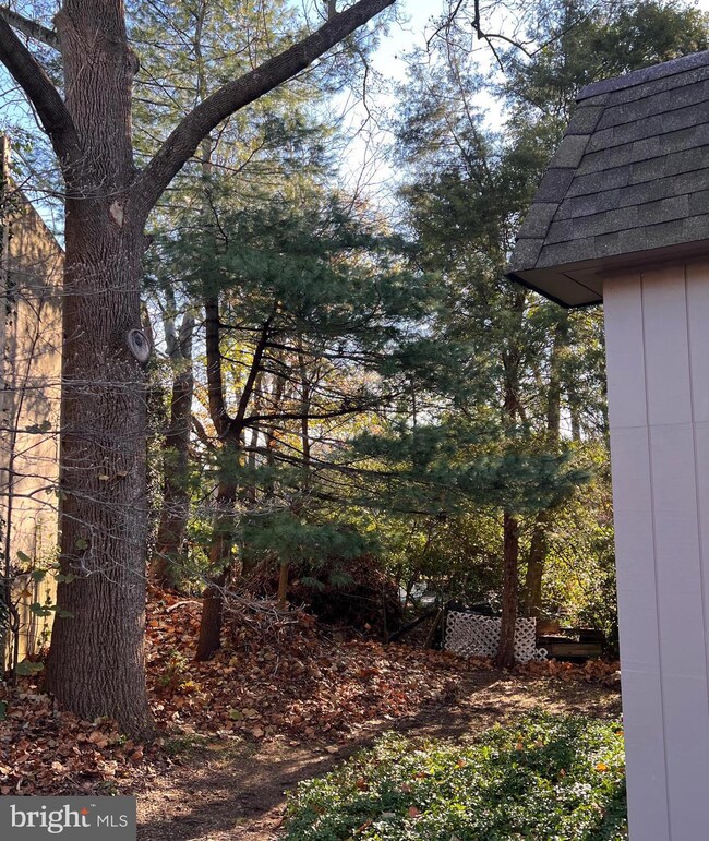 500 Little Falls St, Falls Church, VA 22046 - photo 6