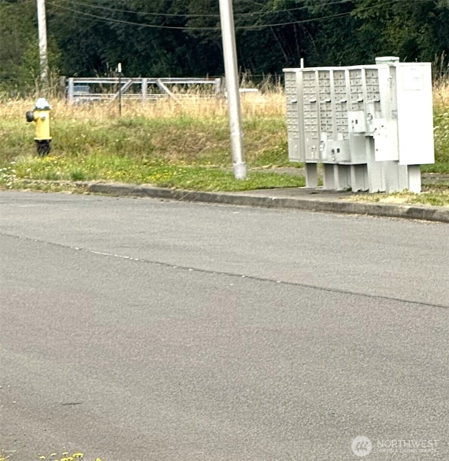 535 Meadow Loop, Montesano, WA 98563 - photo 6