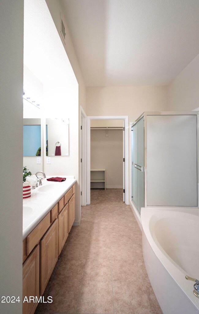 Primary Bath & walk-in Closet