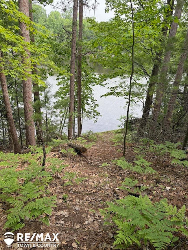 6450 Otter Trail, Alger, MI 48610 - photo 3