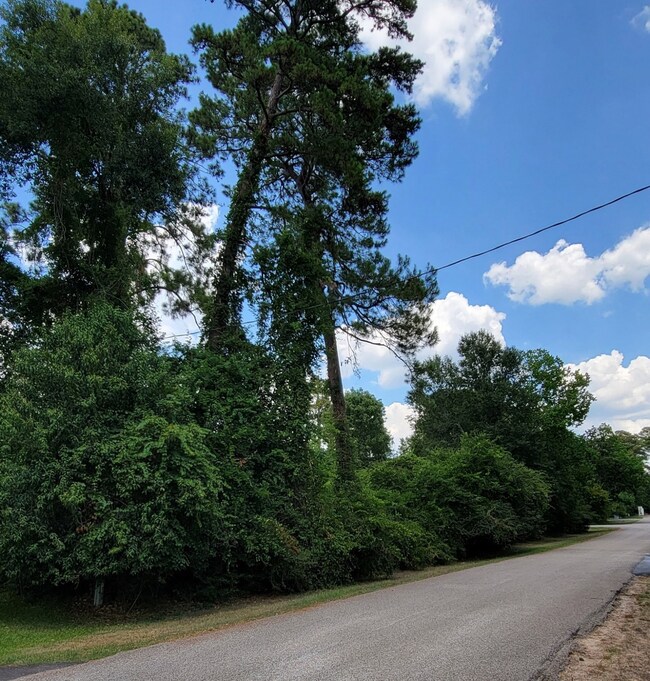 14102 Deer Run St, Decker Place, TX 77355 - photo 5