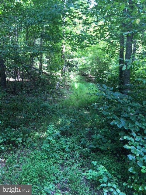 49 Tinderbox Ln, Winchester, VA 22603 - photo 2