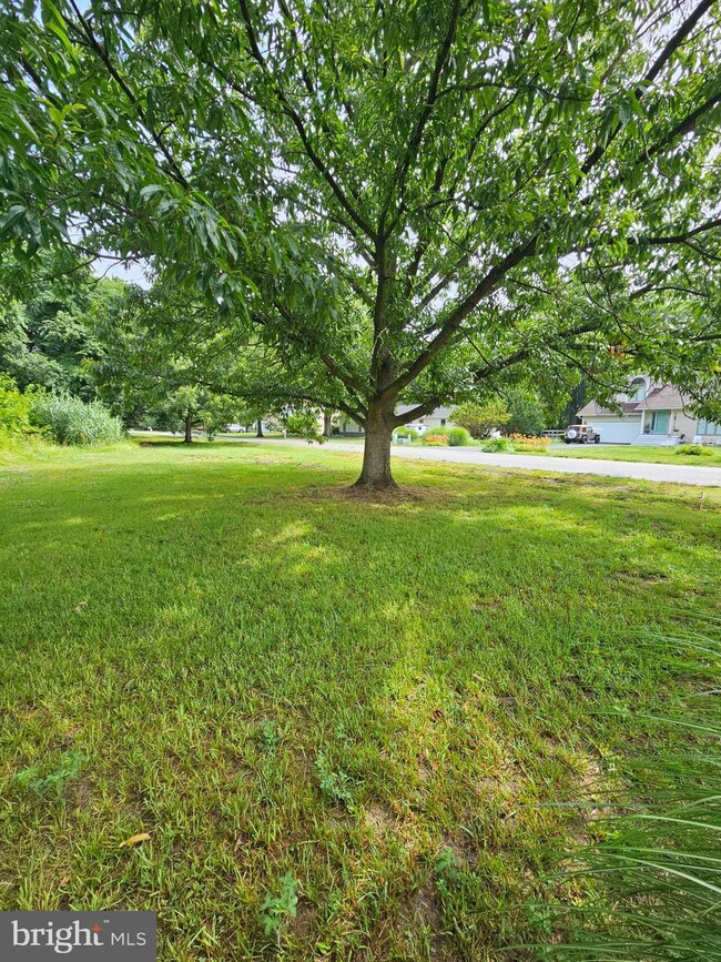 412 Five Farms Dr, Stevensville, MD 21666 - photo 4