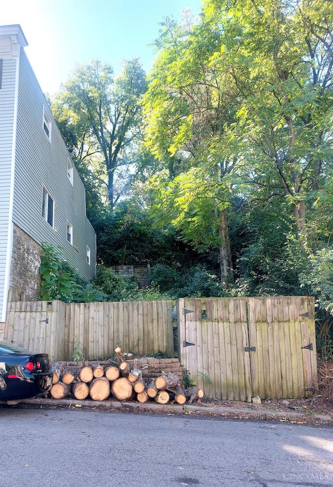 507 Tafel St, Cincinnati, OH 45225 - photo 5