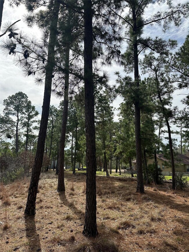 TBD Mahalo Ct, Bastrop, TX 78602 - photo 4