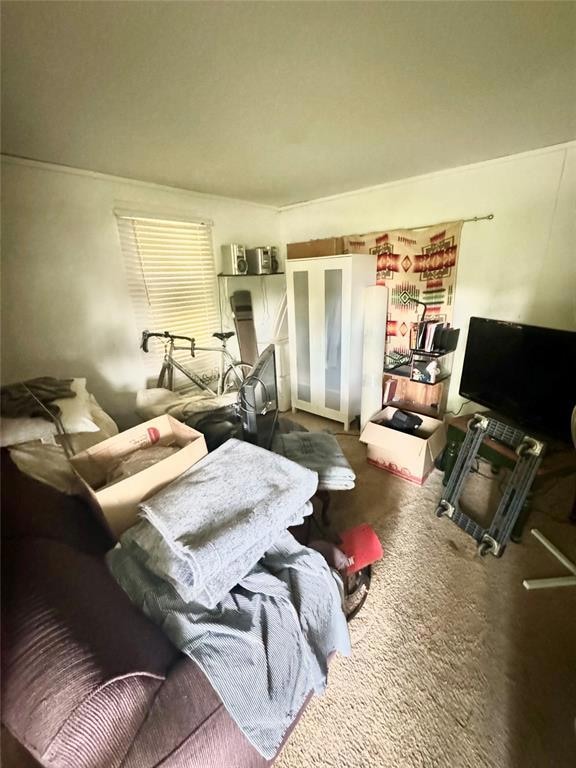 View of carpeted living area