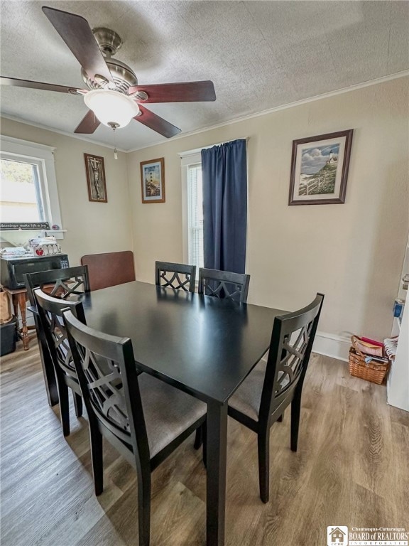 3033 W State St, Allegany, NY 14706 - photo 7