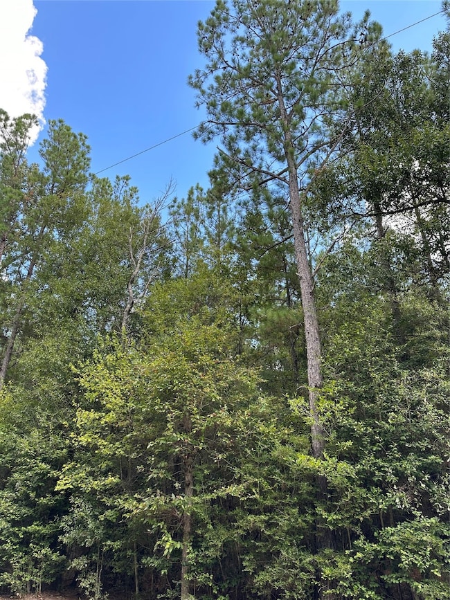 9615 Faulkner Rd, Cleveland, TX 77328 - photo 2