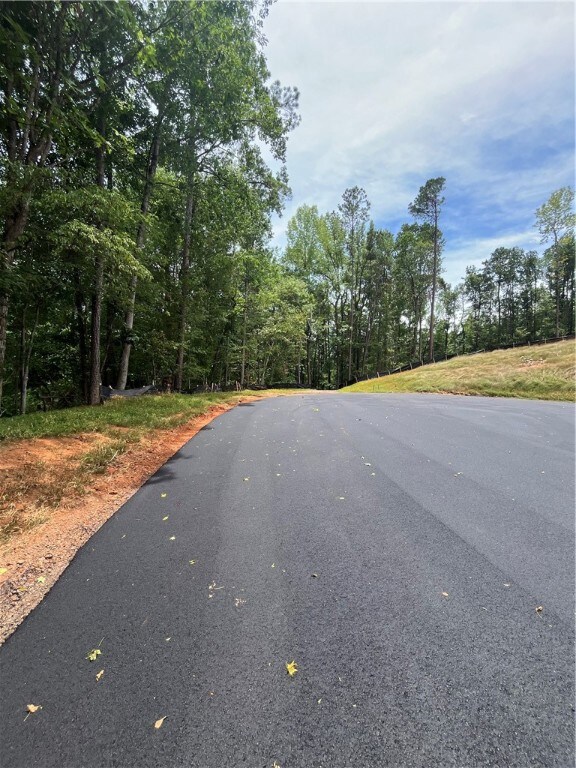 0 Cheyenne Ln unit 171464, Dadeville, AL 36853 - photo 3