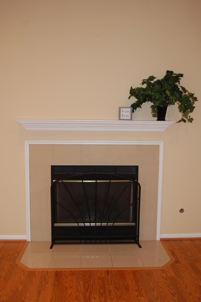 Gas Log Fireplace