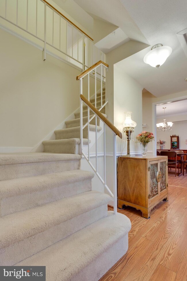 13133 Madonna Ln, Fairfax, VA 22033 - photo 7