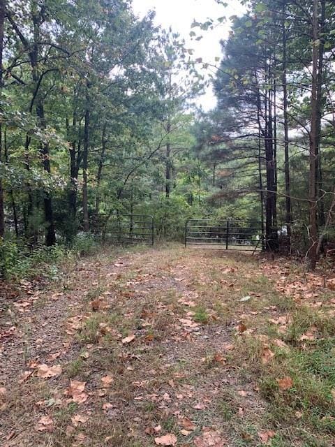 0 Patton Rd, West Fork Township, AR 72774 - photo 7