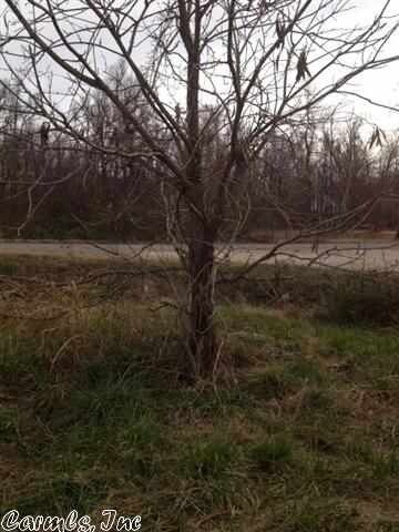 Lot 12/E Cr 339, Jonesboro, AR 72401 - photo 4