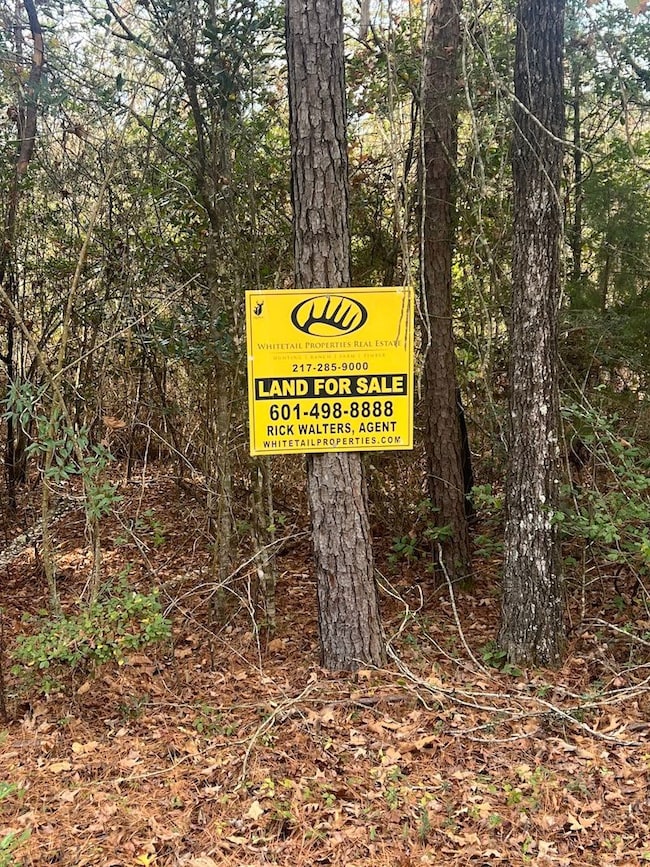 County Hwy 34 unit LotWP001, Waynesboro, MS 39367 - photo 4