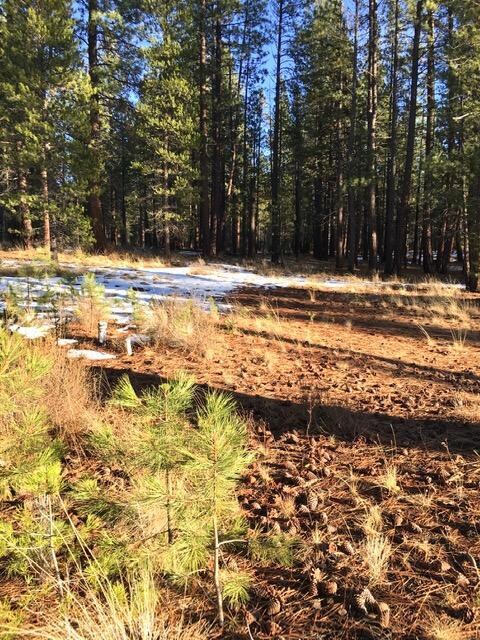 56197 Sable Rock Loop, Bend, OR 97707 - photo 5