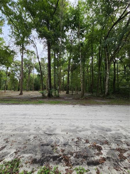 Lot 50 SW Boston Terrace, Fort White, FL 32038 - photo 2