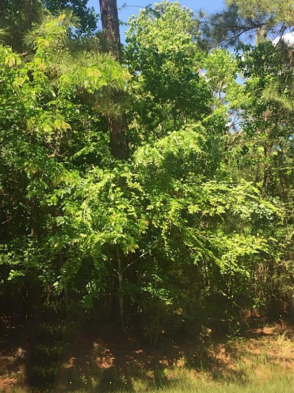 23407 Green Forest St, Hockley, TX 77447 - photo 2