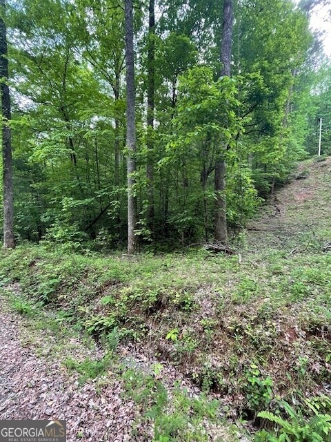 0 Mccormick Dr unit 10509566, Dawsonville, GA 30534 - photo 4