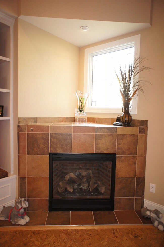 Gas Burning Fireplace with Tile Surround