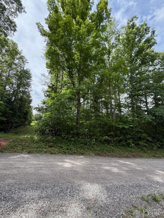 0 E Pamplin Rd, Pamplin, VA 23958 - photo 6