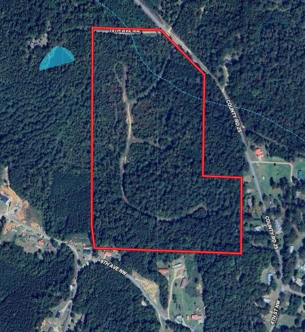 County Road 25, Reform, AL 35481 - photo 2