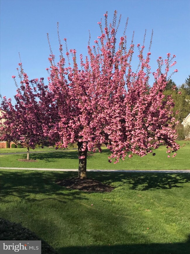 2 Glen Hollow Ct, Reading, PA 19607 - photo 3