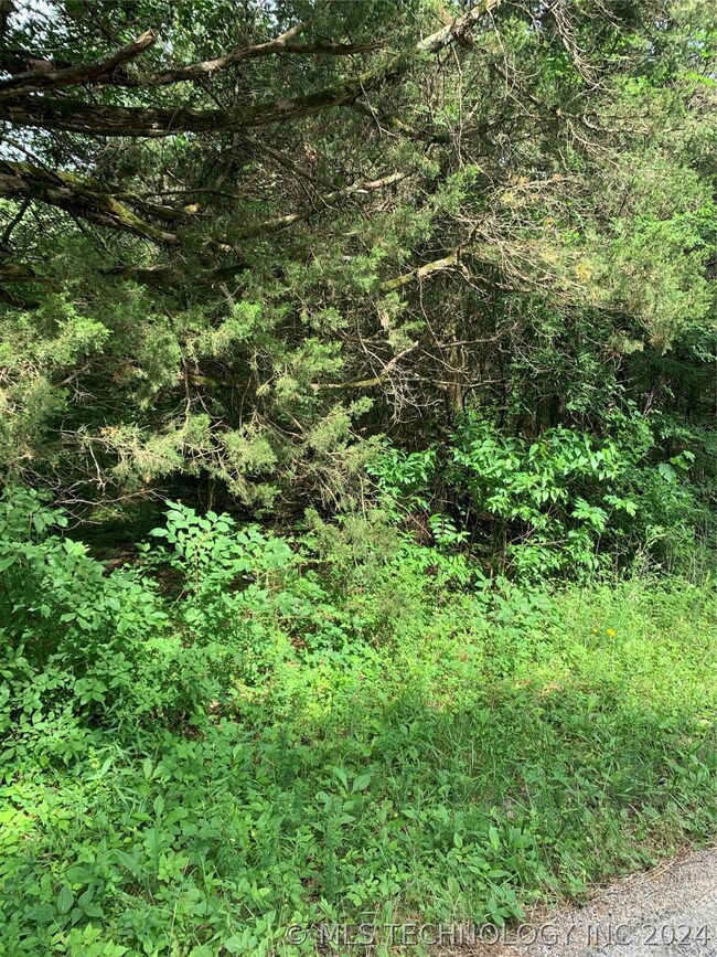 0 S 4730 Rd unit 2418913, Muldrow, OK 74948 - photo 3