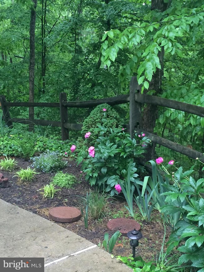 2900 Spring Pond Ct, Davidsonville, MD 21035 - photo 3