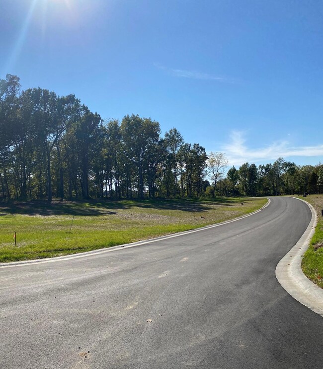 Lot 31 the Estates of Enniskerry, Nixa, MO 65714 - photo 7