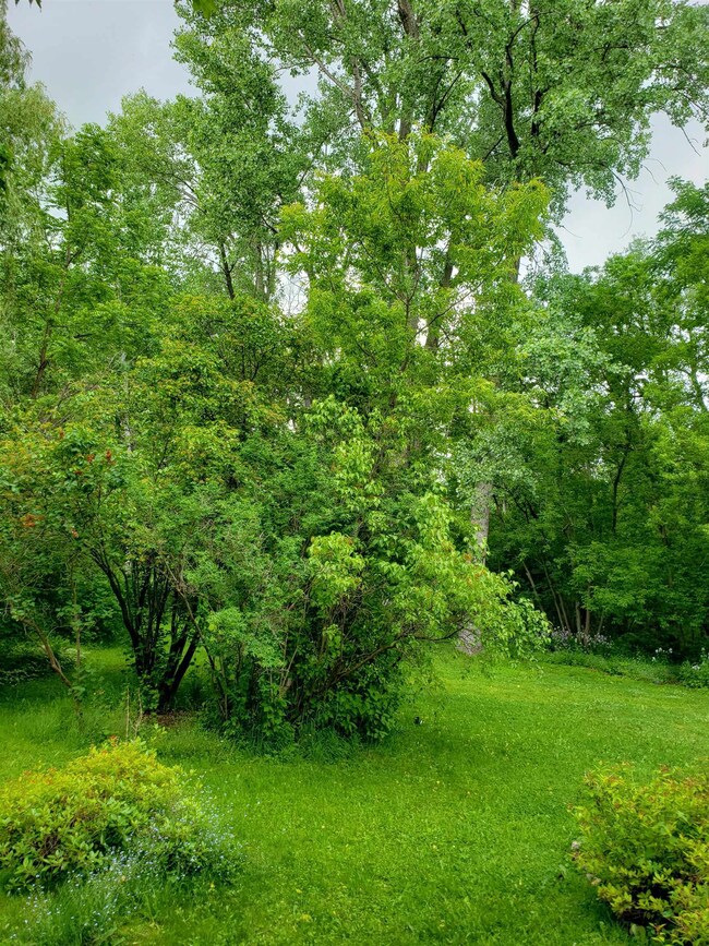 30 Lawrence Ave, Potsdam, NY 13676 - photo 4