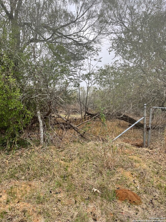 899 Farm To Market 1346, La Vernia, TX 78121 - photo 5