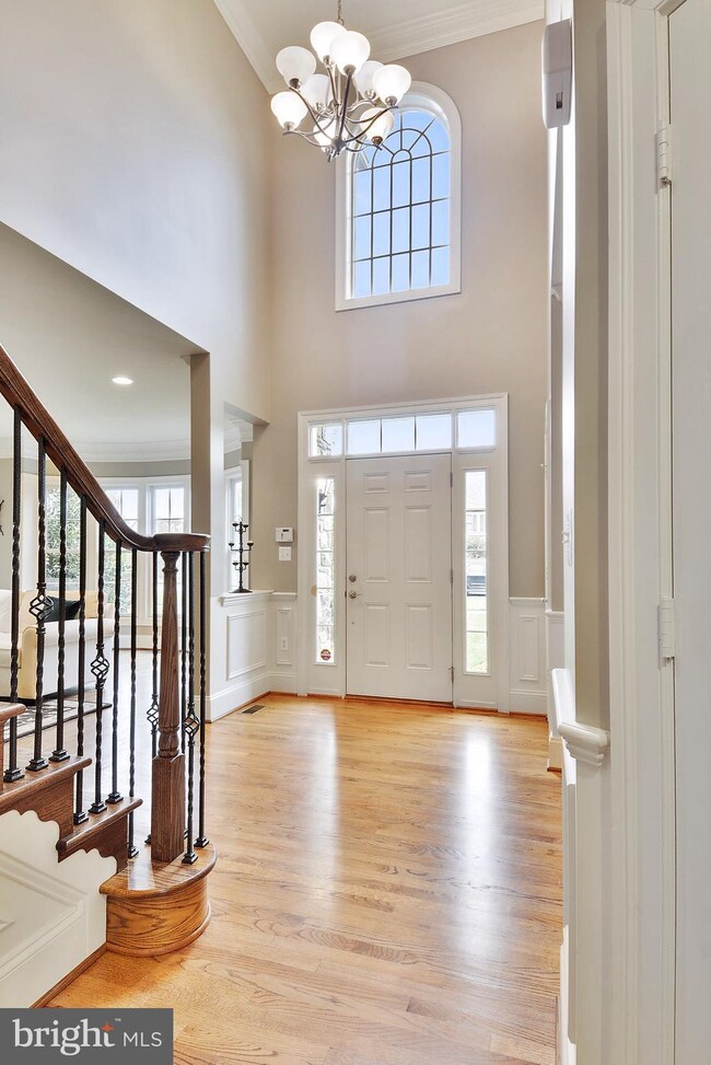 21793 Iannis Spring Dr, Ashburn, VA 20148 - photo 3