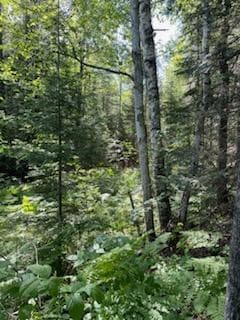 Lt2 - Lt3 U S Highway 51, Harshaw, WI 54529 - photo 4