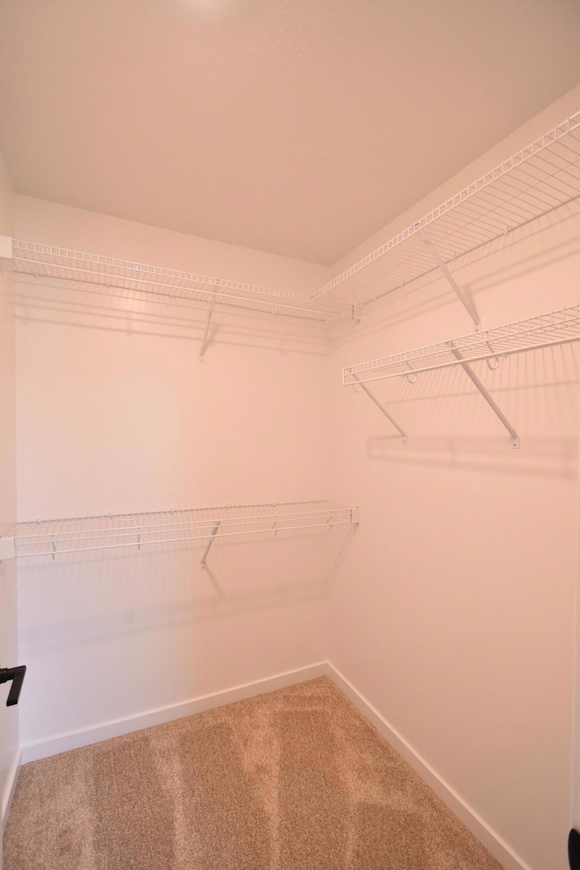 903 7th Ave, Wanamingo, MN 55983 - photo 7