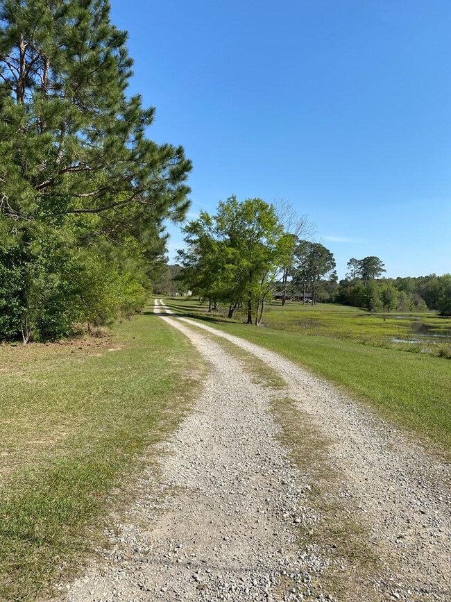 240 Old Blackshear Rd, Cordele, GA 31015 - photo 3