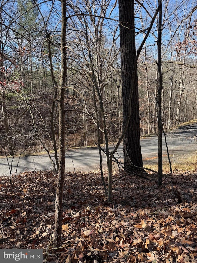 0 Susan Rd, Mount Jackson, VA 22842 - photo 5