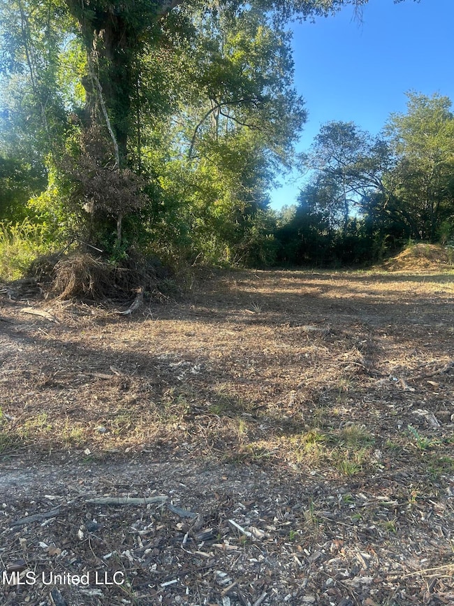 224 W Holly St, Magnolia, MS 39652 - photo 3