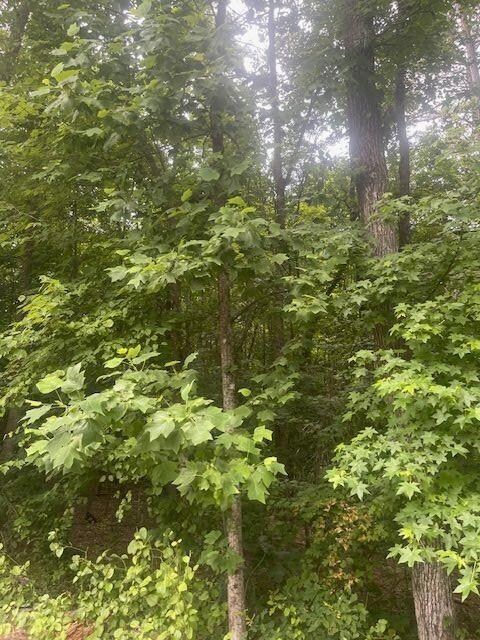 0 Butner Rd SW unit 7397698, Atlanta, GA 30331 - photo 5