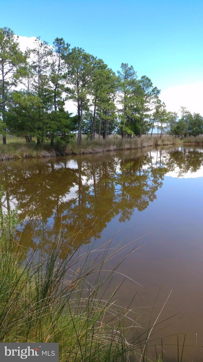 0 Toddville Rd unit 1000100665, Toddville, MD 21672 - photo 2