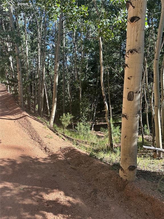 L8 Horseshoe Dr, Divide, CO 80814 - photo 4