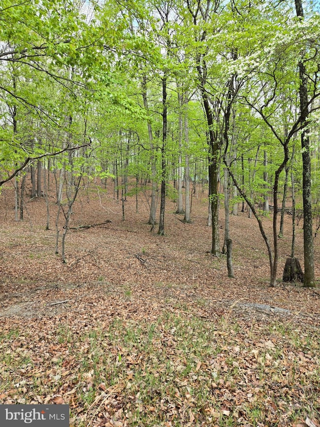 0 Pioneer Trail unit WVMO2005610, Great Cacapon, WV 25422 - photo 3