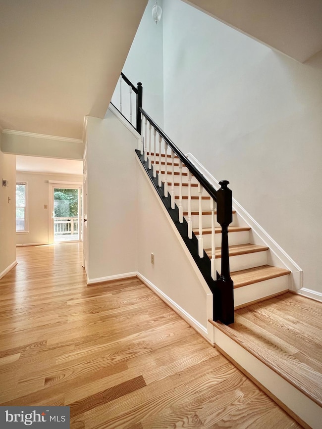 10611 Pine Haven Terrace, Rockville, MD 20852 - photo 6