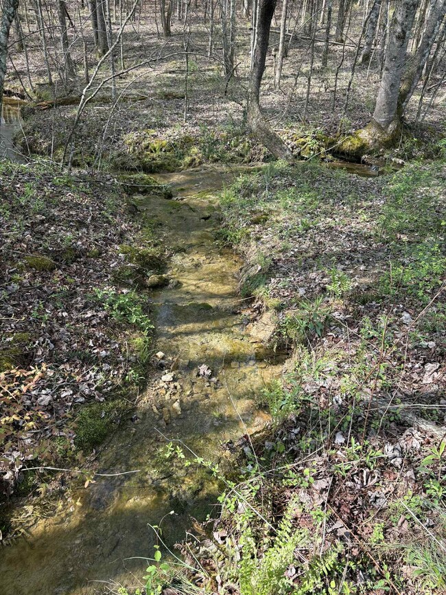 0 Elmore Town Rd unit RTC2978749, Baxter, TN 38544 - photo 3