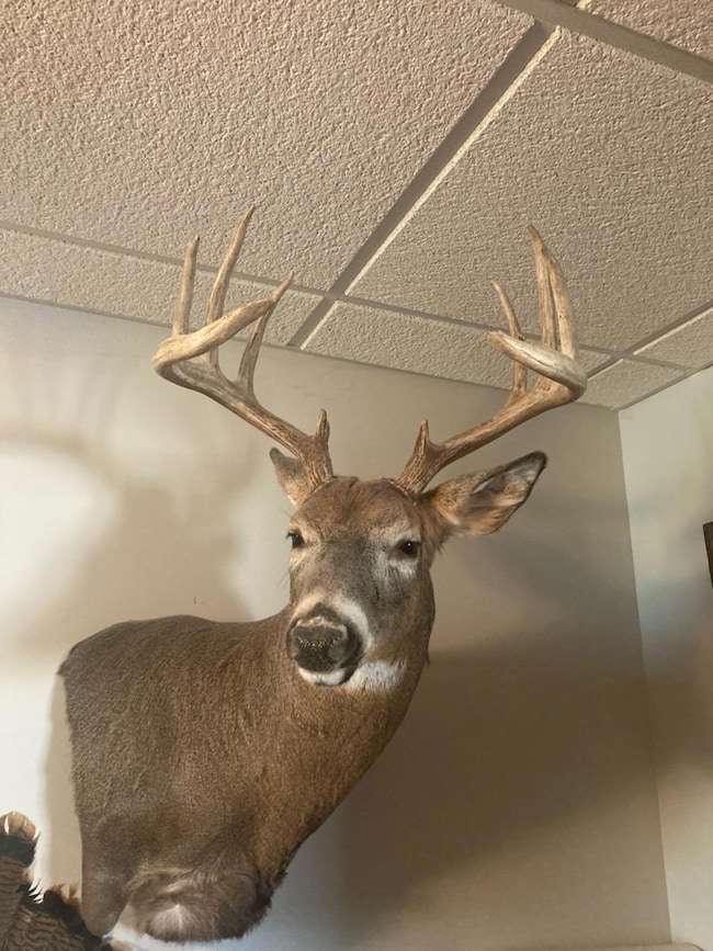 E N 20 School Rd, Glen Flora, WI 54526 - photo 7